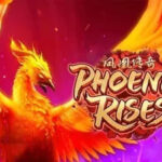 Mencari Kemenangan Bermain Di Phoenix Rises