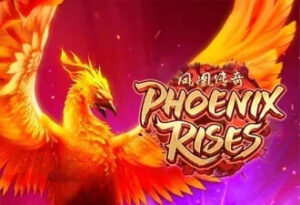 Mencari Kemenangan Bermain Di Phoenix Rises